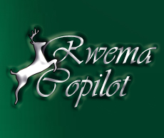 Rwema AI Copilot Logo